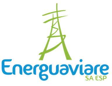Empresa de Energia Electrica del Departamento de Guaviare